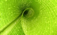 世界短跑训练营成果刊发：青训模式效果被验证，世界短跑比赛有哪些