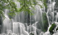 世界羽毛球团体赛赛后志愿者成长课程获得资助，羽毛球团体大赛