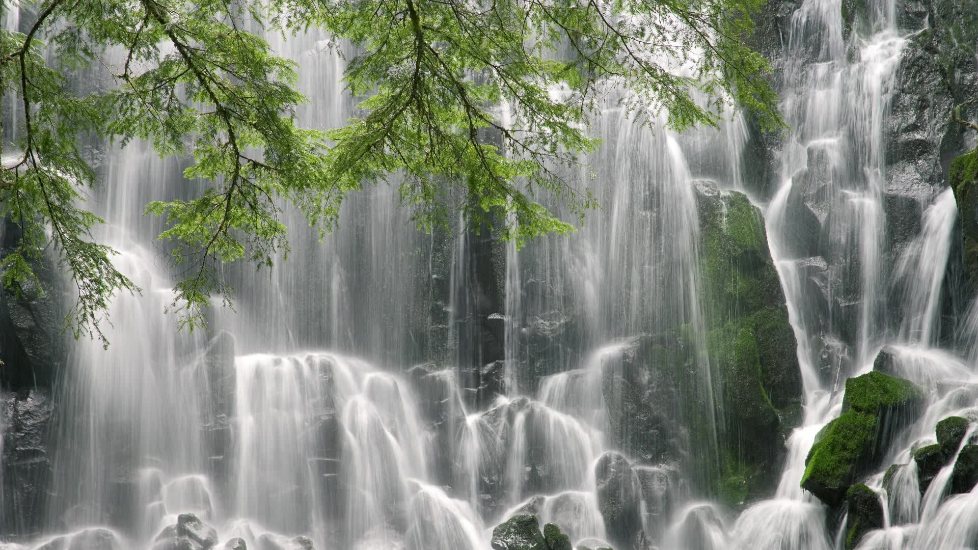 世界羽毛球团体赛赛后志愿者成长课程获得资助，羽毛球团体大赛